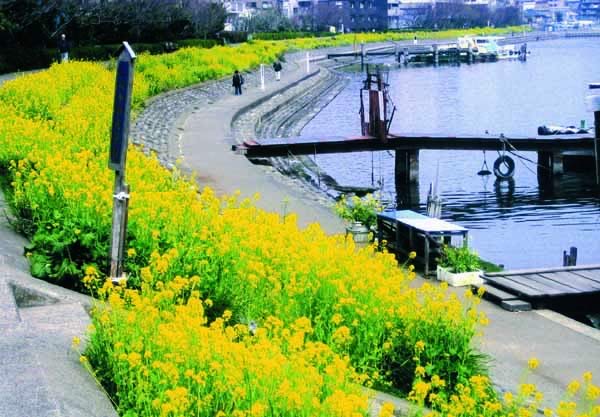 春の勝島運河