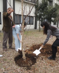 玉川病院　記念植樹