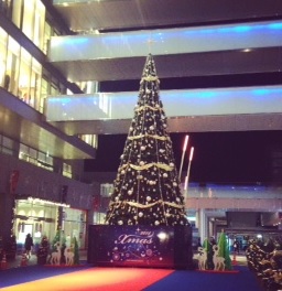玉川病院　クリスマスツリー