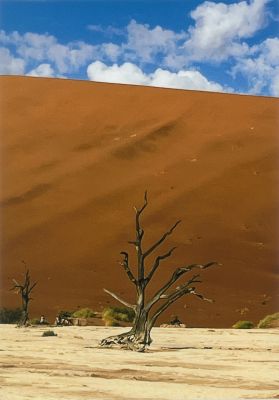 ナミビア〜大地の彫刻〜